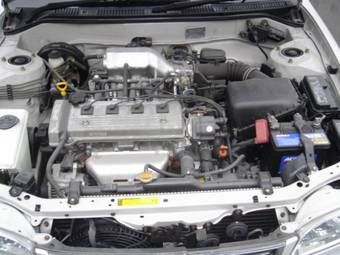 1999 Toyota Corolla For Sale