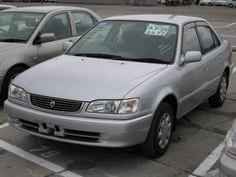 1999 Toyota Corolla Pictures