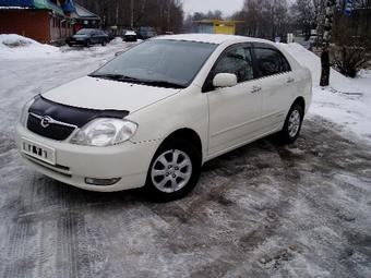 2000 Toyota Corolla