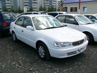 2000 Toyota Corolla