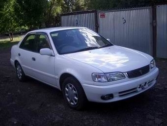 2000 Toyota Corolla