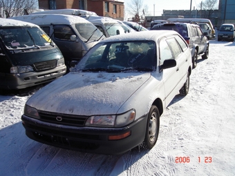 2000 Toyota Corolla