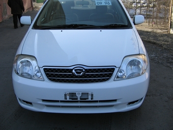 2000 Corolla