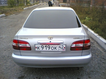 Corolla