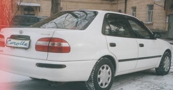 Corolla