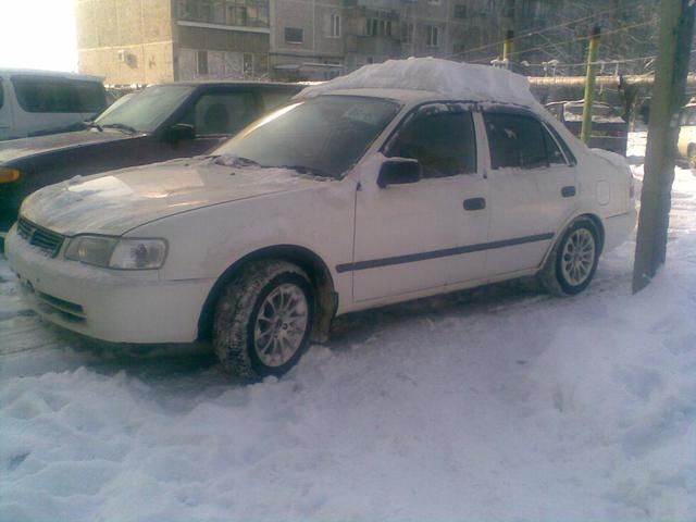 2000 Toyota Corolla