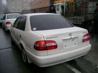 2000 Corolla