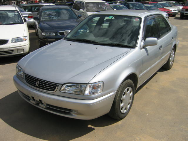 2000 Toyota Corolla Pictures