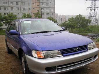 2000 Toyota Corolla Pictures