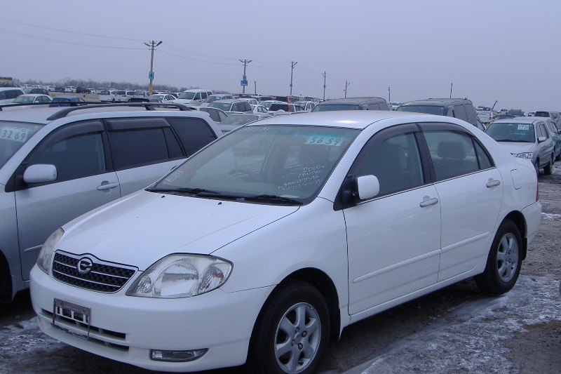 2000 Toyota Corolla Pictures