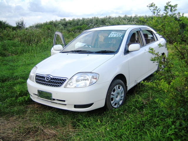 2001 Toyota Corolla