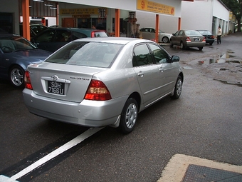 Corolla