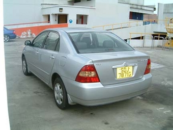 Corolla