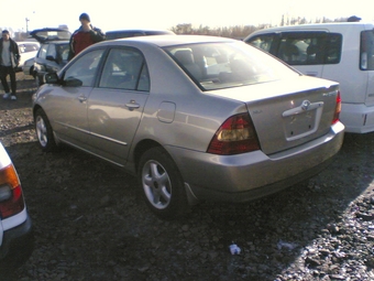 Corolla