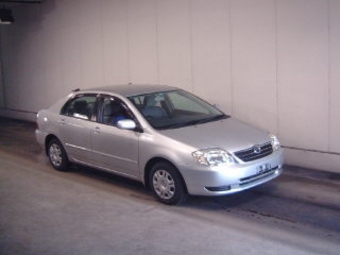 Corolla