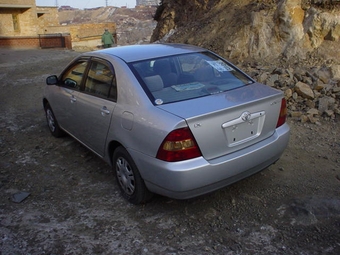 Corolla