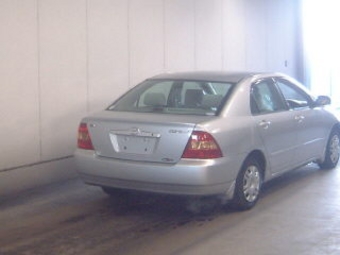 Corolla