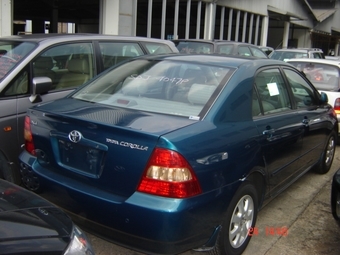 Corolla