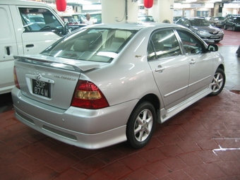 Corolla