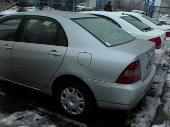 Corolla