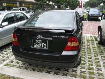 Corolla
