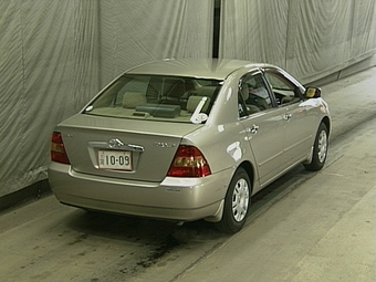 Corolla