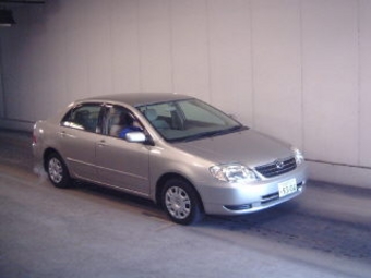 Corolla