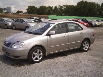 Corolla