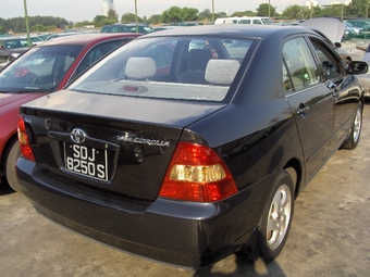 Corolla