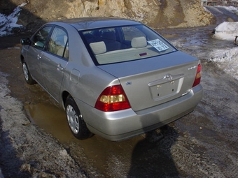 Corolla