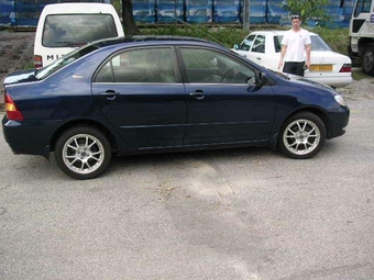 2001 Corolla