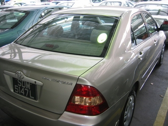 Corolla