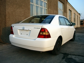 Corolla