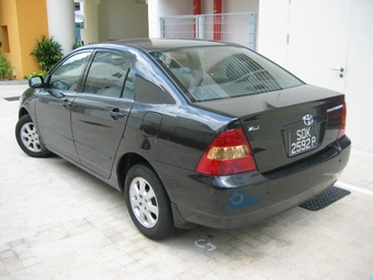 Corolla