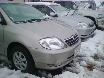 2001 Corolla