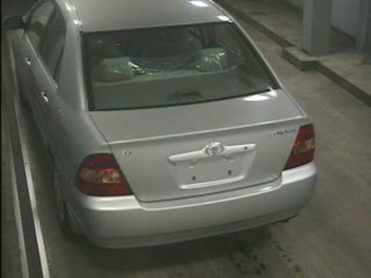 Corolla
