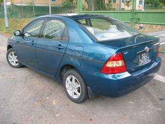 Corolla