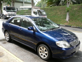 Corolla