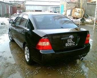 Corolla