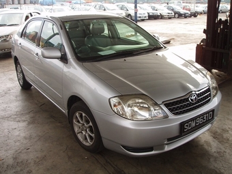 Corolla