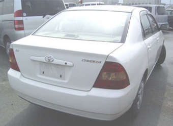 Corolla