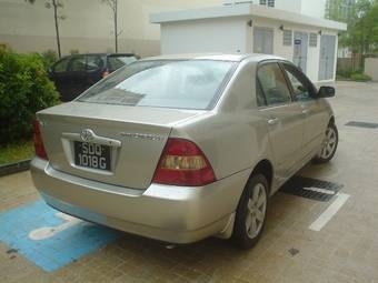 Corolla