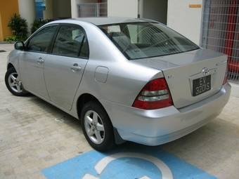 Corolla