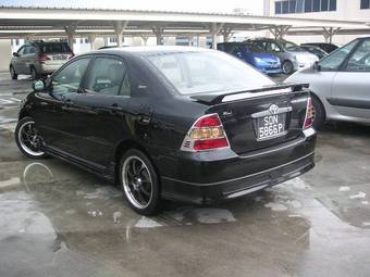 Corolla
