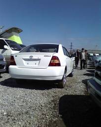 2001 Corolla
