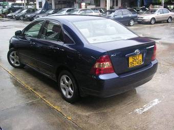 Corolla
