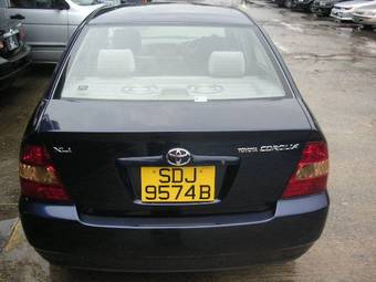 2001 Corolla