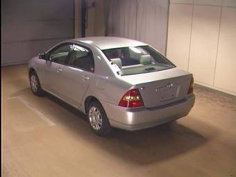 Corolla