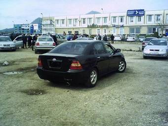Corolla