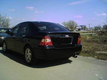 2001 Corolla